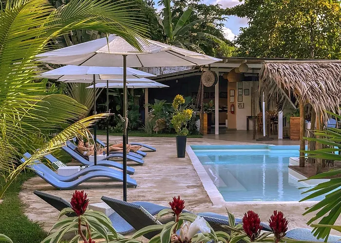 Hotels Close to Airport El Nido Moringa